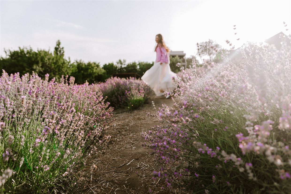 lavanda_violet_photoshoot