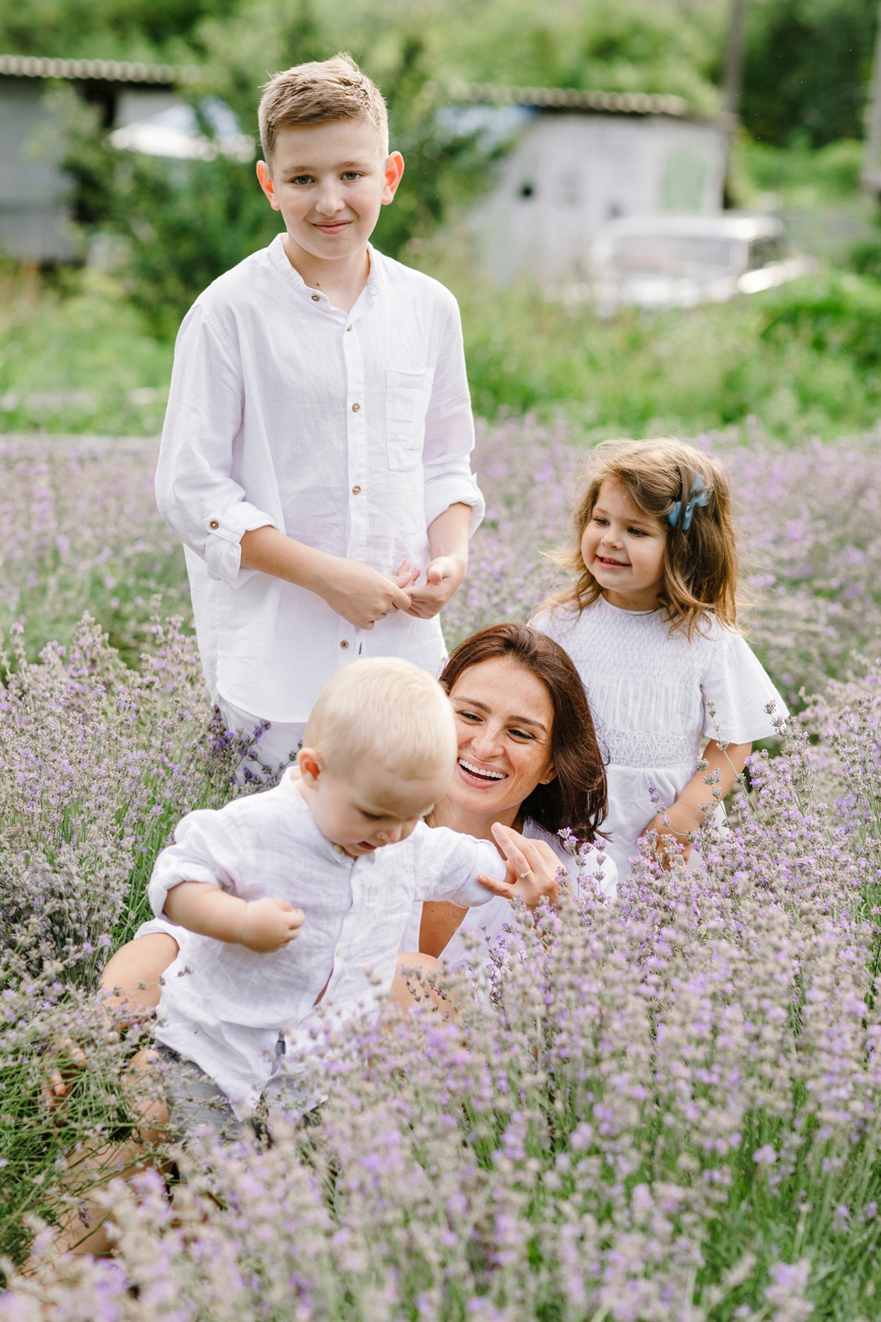 big_family_photoshoot_lavender